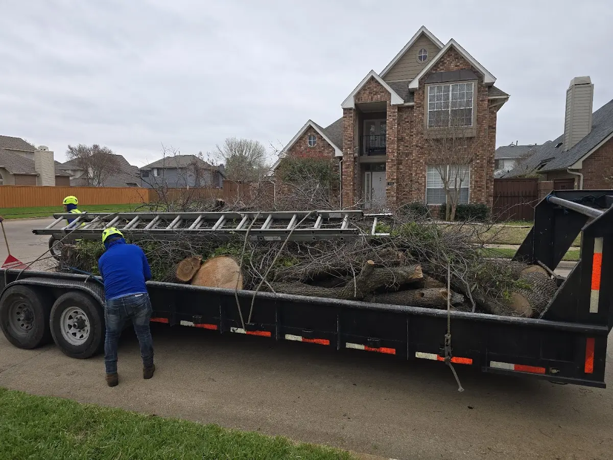 Expert Tree Removal with proper safety equipment in Barrow